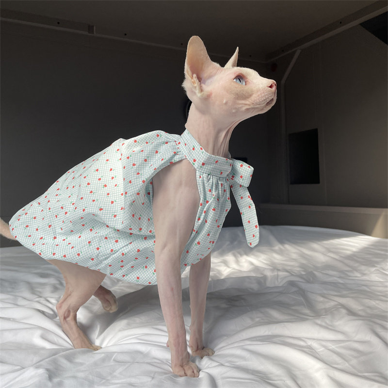 Cat Clothing in Summer Sweet L - Summer Light Clothing review and price