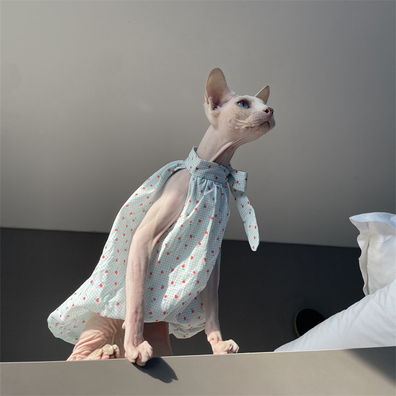 Cat Clothing in Summer Sweet L - Summer Light Clothing review and price