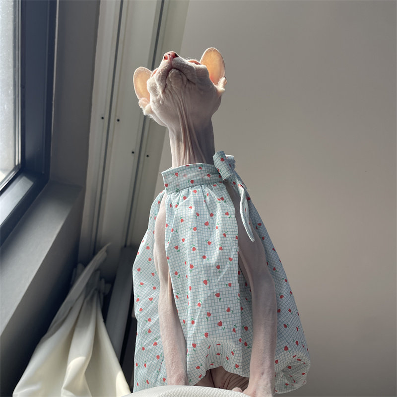 Cat Clothing in Summer Sweet L - Summer Light Clothing review and price